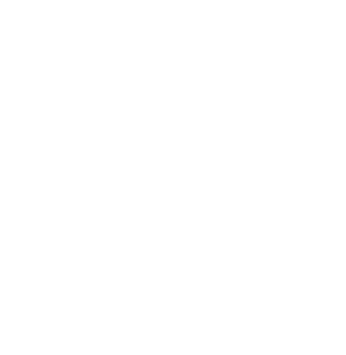 deluge icon